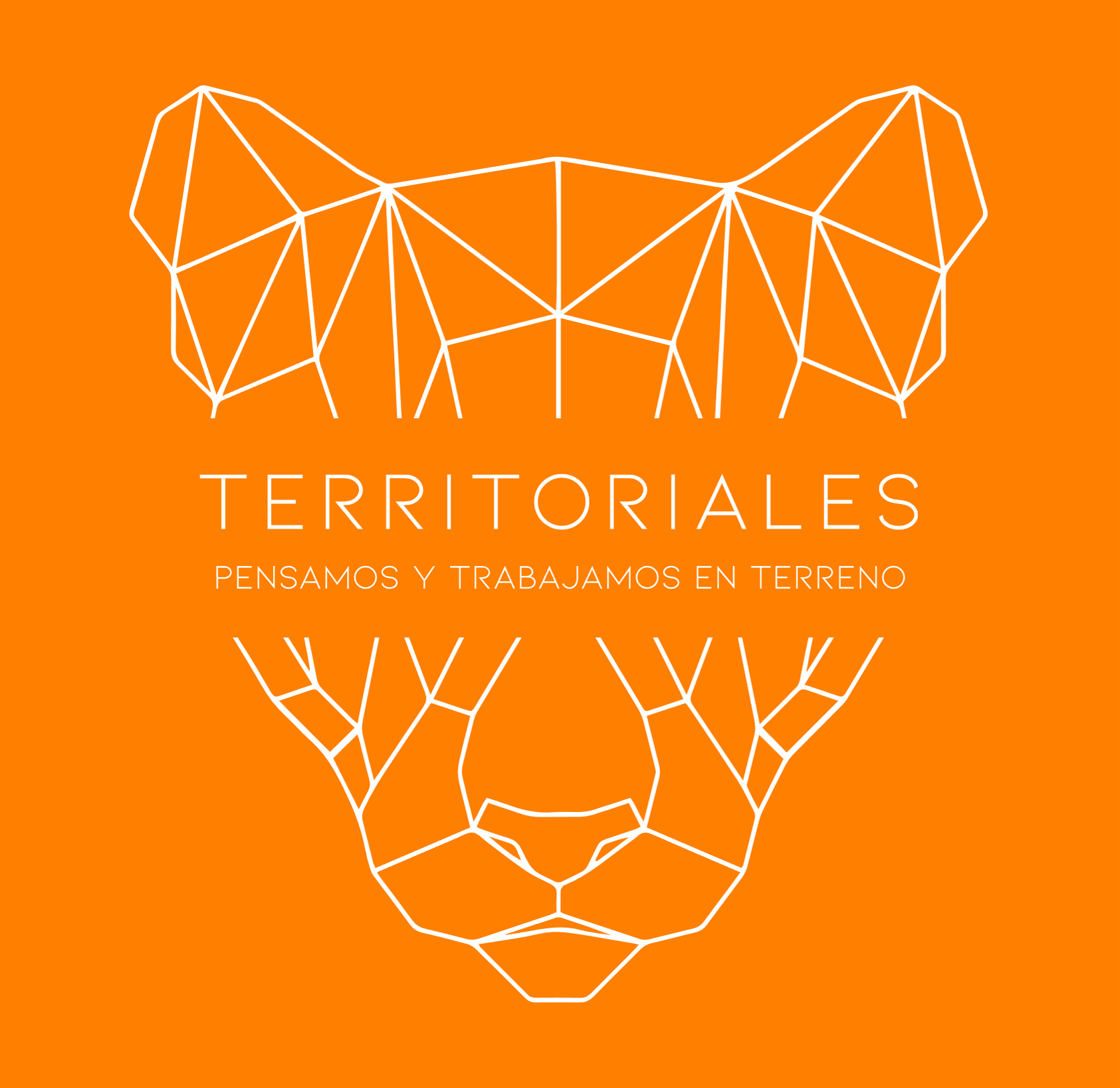 Somos un equipo multidisciplinario de profesionales con más de 20 años de experiencia liderando procesos de transformación en Chile. En Territoriales.cl, no solo planificamos: integramos estrategia, territorio y personas para asegurar que el desarrollo se traduzca en bienestar real y sostenibilidad Nos especializamos en acompañar a servicios públicos y proyectos intersectoriales en sus desafíos más complejos. A través de la estrategia y el control de gestión, fortalecemos las capacidades institucionales, asegurando que las nuevas estructuras no solo enfrenten el cambio, sino que perduren y trasciendan.